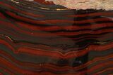 Large Tiger Iron Stromatolite Section - Billion Years #353582-1